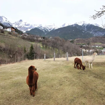 Apartman Kaufmann By Interhome